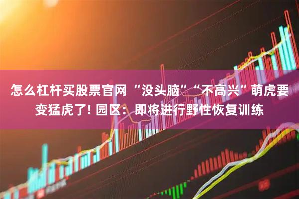 怎么杠杆买股票官网 “没头脑”“不高兴”萌虎要变猛虎了! 园区：即将进行野性恢复训练