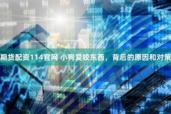 期货配资114官网 小狗爱咬东西，背后的原因和对策