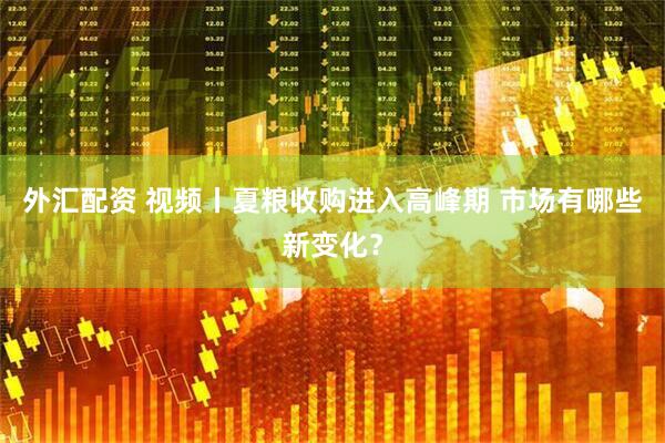 外汇配资 视频丨夏粮收购进入高峰期 市场有哪些新变化？