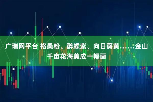 广瑞网平台 格桑粉、醉蝶紫、向日葵黄……金山千亩花海美成一幅画